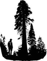 A striking silhouette of a hiker standing beside a towering pine tree in a forest, perfect for travel, nature, and adventure themes vector