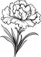 Elegant line art illustration of a single carnation flower, perfect for adding a touch of beauty and simplicity to your designs vector