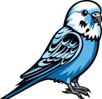 A charming blue budgie with a white head, standing on a white background vector