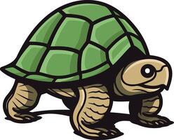 A friendly cartoon turtle with a green shell and brown legs vector