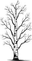 A simple yet elegant black and white illustration of a bare tree, perfect for adding a touch of nature to your designs vector