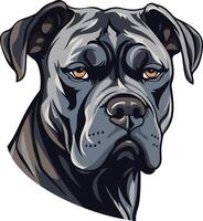 A powerful and expressive portrait of a cane corso dog, showcasing its strong features and intelligent gaze vector