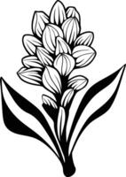 Elegant black and white illustration of a hyacinth flower, perfect for adding a touch of nature to your designs vector