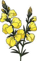 Beautiful illustration of delicate yellow flowers vector