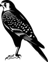 A striking silhouette of a falcon, capturing its powerful presence and sharp features vector