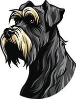 A striking illustration of a black miniature schnauzer with a playful and intelligent expression, perfect for pet-related designs, branding, and merchandise vector