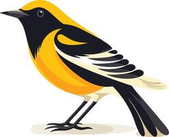 A vibrant illustration of a baltimore oriole, a popular songbird with striking orange and black plumage vector