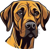 A realistic, detailed illustration of a rhodesian ridgeback dog's head vector