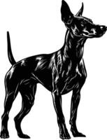 Silhouette of a dog standing on a white background vector