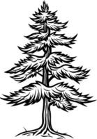 A detailed black and white illustration of a single pine tree, drawn in a vintage woodcut style vector