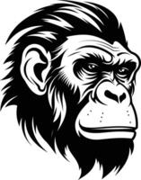 A powerful black and white illustration of a chimpanzee's head, perfect for designs needing a bold and impactful animal motif vector
