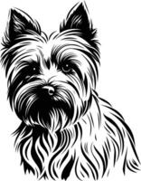 Black and white illustration of a yorkshire terrier, a popular dog breed vector