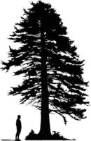 Silhouette of a large pine tree with a small person standing beneath it vector