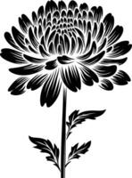 Elegant black and white silhouette of a single chrysanthemum flower, perfect for adding a touch of nature and sophistication to your designs vector
