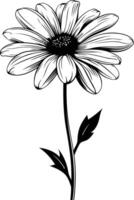 Elegant black and white silhouette of a single daisy with delicate petals and stem vector