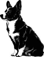 A striking black and white silhouette of a cardigan welsh corgi, sitting with a proud, alert expression vector