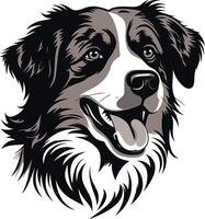 A friendly, black and white border collie with a playful grin and tongue out vector