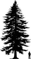 Tall evergreen tree silhouette with person standing in the background, isolated on white vector