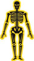 Simple black silhouette of a human skeleton, isolated on a bright yellow background vector