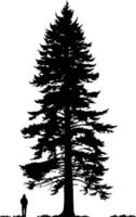 A solitary, tall evergreen tree stands against a white background, its silhouette a stark contrast to the open space vector