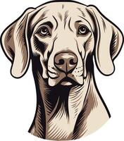 A detailed illustration of a weimaraner dog's head, perfect for pet-related designs, branding, and social media vector