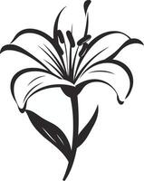 Elegant black and white illustration of a lily flower, perfect for adding a touch of grace and beauty to any design project vector