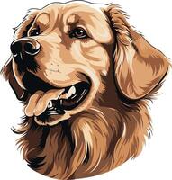 Golden Retriever Portrait vector