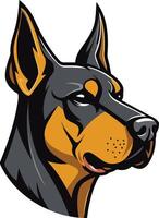 A fierce and bold doberman pinscher head, perfect for branding, logos, or sports team mascots vector