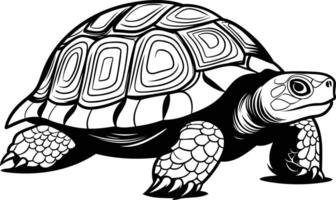 Black and white illustration of a turtle with a detailed shell and bold lines vector