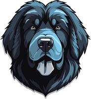 A friendly and approachable illustration of a tibetan mastiff head, perfect for branding, logo design, or pet-related projects vector