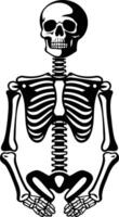 A simple, black and white illustration of a human skeleton in a sitting pose vector