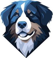 A friendly bernese mountain dog portrait in a stylized, format vector