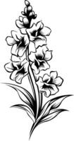 Elegant black and white illustration of a single floral stem, perfect for adding a touch of nature to designs vector