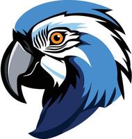 A bold and vibrant illustration of a blue and yellow macaw's head, perfect for logos, branding, or any design project seeking a touch of exotic flair vector