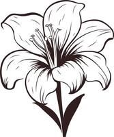 Elegant line art illustration of a lily flower, perfect for wedding invitations, floral designs, or adding a touch of nature to your projects vector