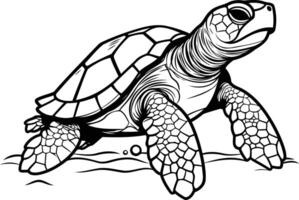 A detailed line drawing of a sea turtle, swimming in the ocean vector
