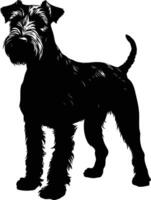 A striking silhouette of a miniature schnauzer, perfect for adding a touch of elegance to your designs vector