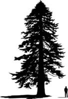 Silhouette of a tall evergreen tree with a single person standing in front of it, creating a sense of scale and solitude vector