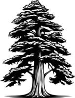 A simple yet powerful silhouette of a towering evergreen tree vector