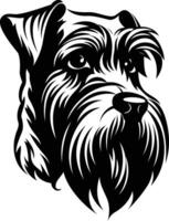 A striking black and white illustration of a schnauzer's head, capturing its distinctive facial features with intricate detail vector