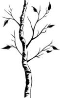 Simple yet elegant black and white silhouette of a bare birch tree vector