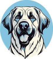 Close up Portrait of a Smiling Labrador vector