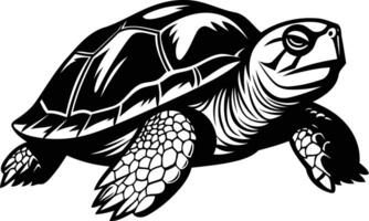 Black and white illustration of a turtle with detailed shell and limbs vector