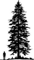 A majestic silhouette of a towering pine tree, emphasizing its height and grandeur vector