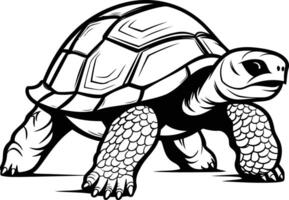 A detailed line art illustration of a tortoise, capturing its distinct features vector