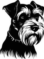 A striking black and white illustration of a miniature schnauzer, showcasing its distinctive features and personality vector