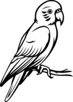 A simple, elegant line drawing of a parakeet perched on a branch vector