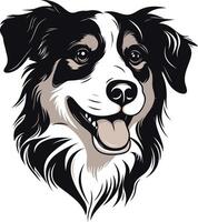 Portrait of a Happy Border Collie vector