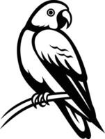 A simple yet striking black and white illustration of a parrot perched on a branch vector