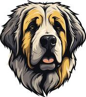Close-up Portrait of a Bernese Mountain Dog vector
